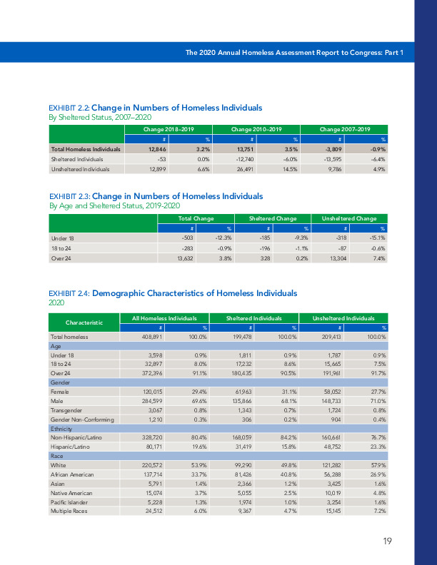 The 2020 Annual Homeless Assessment Report to Congress_Data.pdf