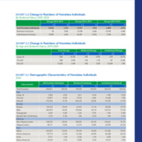 The 2020 Annual Homeless Assessment Report to Congress_Data.pdf