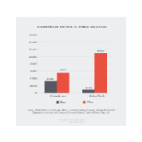 Income and Wealth Race